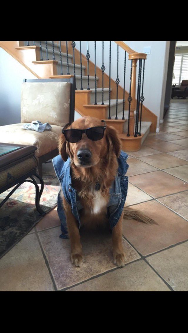 basic____bitch's tweet image. Being a good boy is no longer on his agenda