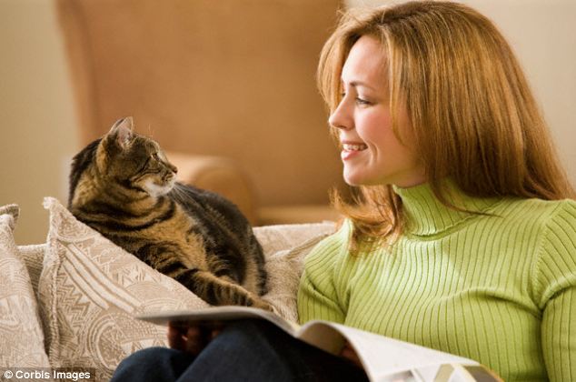 PSSolutionsUSA's tweet photo. We're positive that you've heard of Cat Cafes by now. According to studies, cats can help you#DestressToday. How? https://t.co/oya5Uvx8Od https://t.co/PayV7icufT
