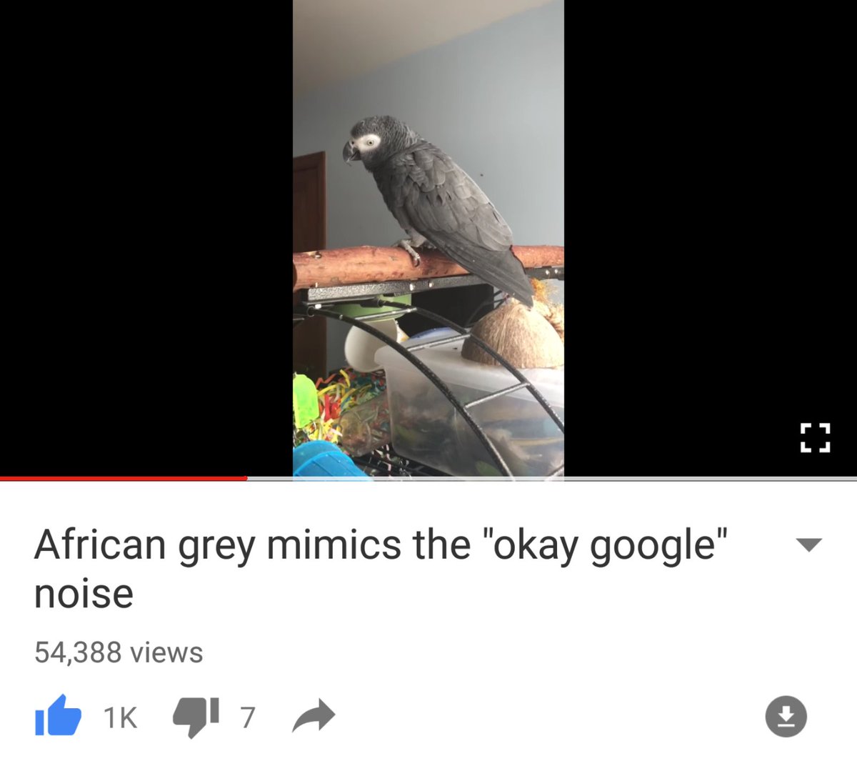 MKBHD's tweet photo. Pet goals: https://t.co/KWU7qKlPp5 https://t.co/5DX31z1xon