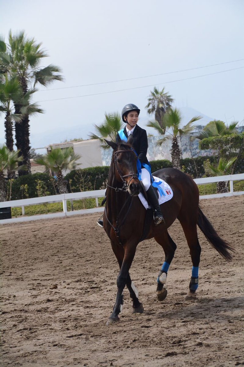 hipico_peruano's tweet photo. Campeon Nacional 2016 Dominic tosso , @hipico_peruano   @JaimeToso https://t.co/DauQBjyB6q