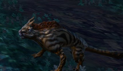 lizardbattails's tweet photo. @flower4funtimes @CipherBlakk me and bitey(i named her) are getting along already! #watchoutblakk #youknowmesowellzim https://t.co/aOSOs7bNzF