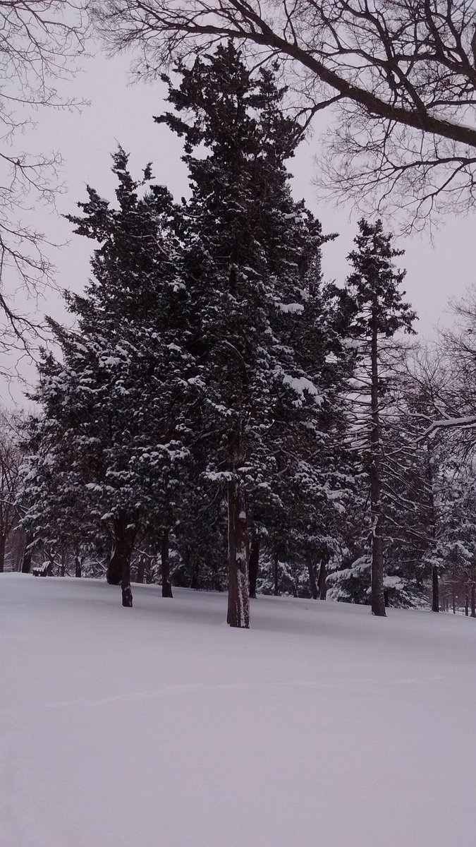 Geetzometry's tweet photo. @Lacci winter Wonderland in Minneapolis! https://t.co/T7PYg5VX8e