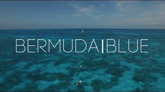 BermudaStream's tweet photo. #Bemuda Blue – Taylor Rankin @TaylorRankinVio https://t.co/bad8sVUzES https://t.co/I4ojRbjtXX