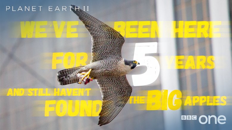 Bbc One On Twitter New York City Has The Highest Density