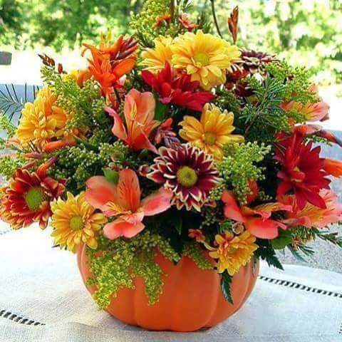 sThathappilly's tweet photo. Get well soon https://t.co/sBhugp6a3g