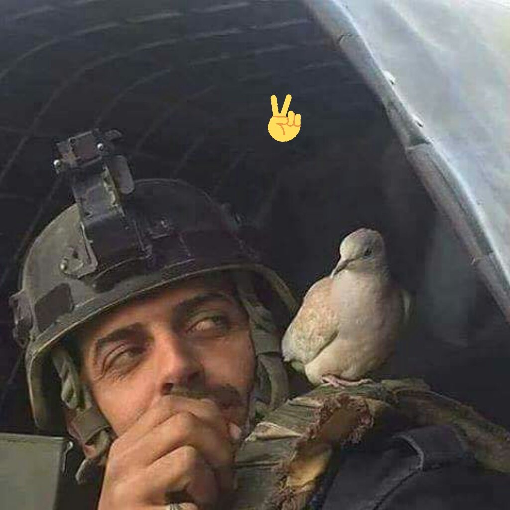 لبيك #بغداد انتي...الحلم والأمل
وانتي رغم العوادي الشعر والغزل
 #بغداد