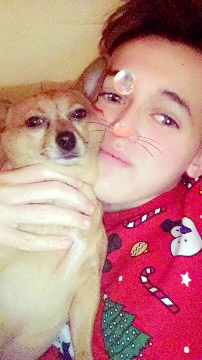 NathanFelingue's tweet photo. #UnAmiPourMoug #NoëlDesAnimaux https://t.co/xBkSvaScMM