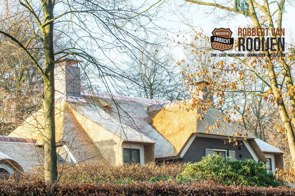 Ontdek De Fabrikant Kippenhok Asfalt Dak Van Hoge Kwaliteit Voor