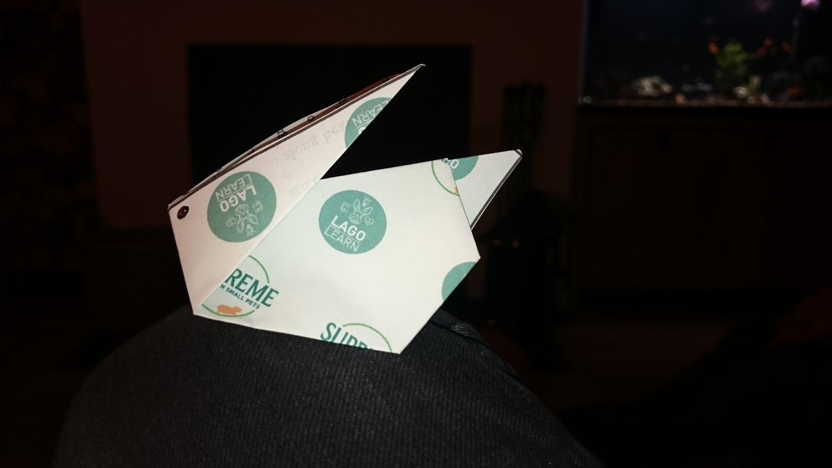 morleyvicky's tweet image. @Lagolearn #lagolearn #rabbitcpd