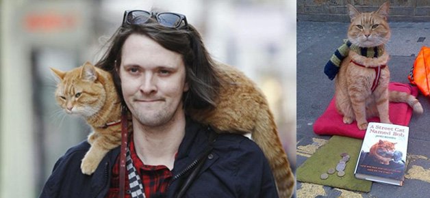 джеймс боуэн и боб. джеймс боуэн его кот. джеймс боуэн уличный кот. джеймс боуэн. джеймс боуэн, «кот по имени боб».