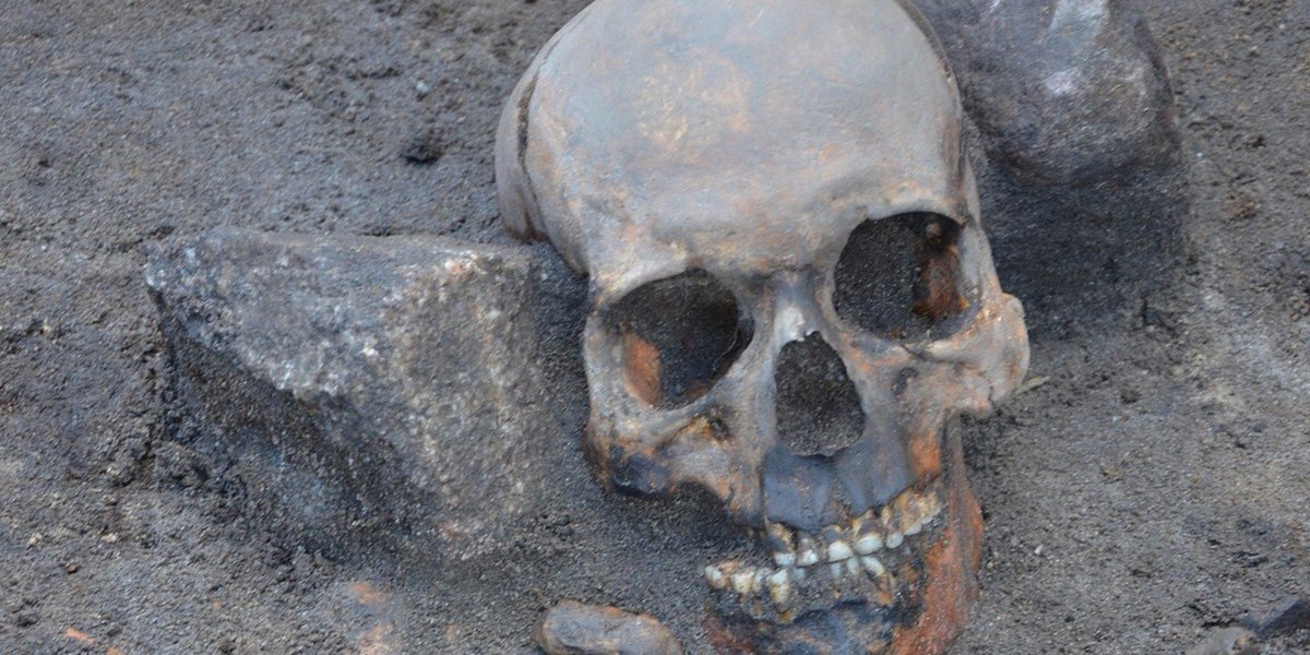 FactFictionPod's tweet photo. 'Vampire' Burials Have Been Uncovered in Poland https://t.co/SIHA7h6f74 https://t.co/D7FdcuFvIr