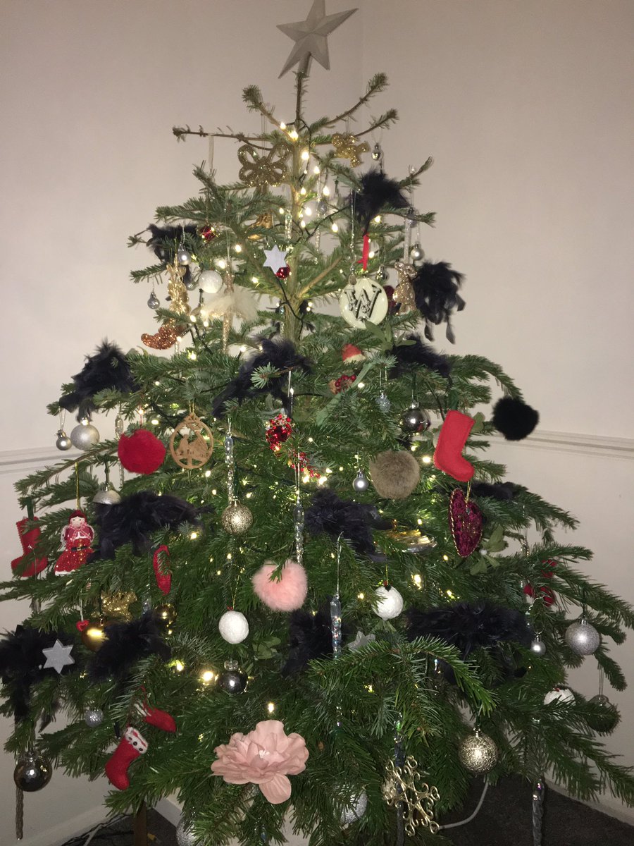 chlowebb1's tweet photo. My first Christmas tree 🎄🎄🎄 https://t.co/DADLbATPcX