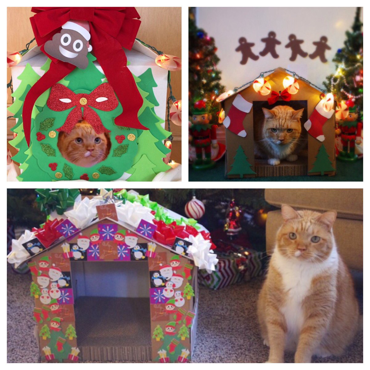 GingerHobbes's tweet photo. Three years of getting Tacky!πΊππ»
Today's the FINAL day to enter #NeedsMoreTacky #25DaysOfChristmasHobbes #December11th https://t.co/UYpOitOgCb