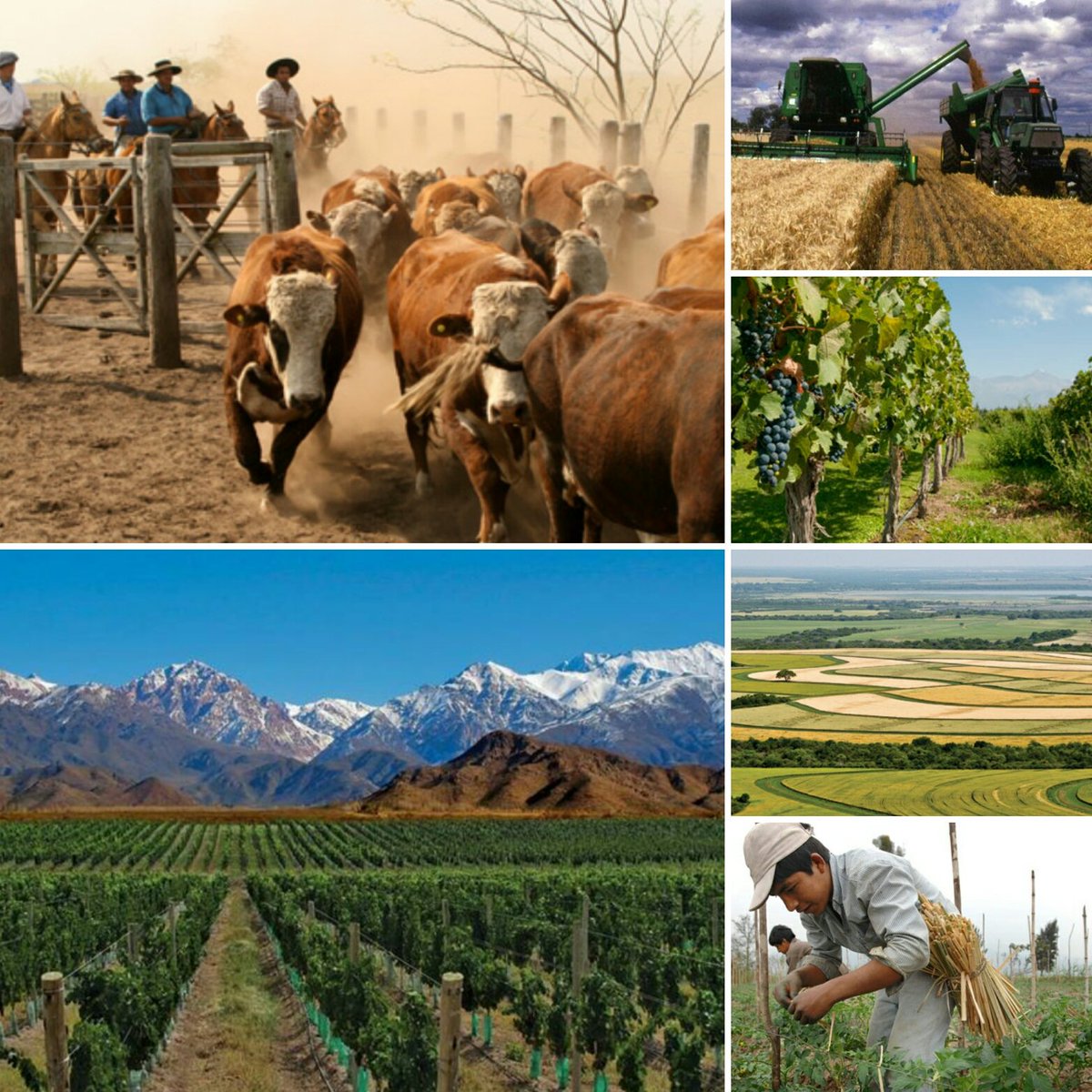 Doeko van'tWesteinde tweet media