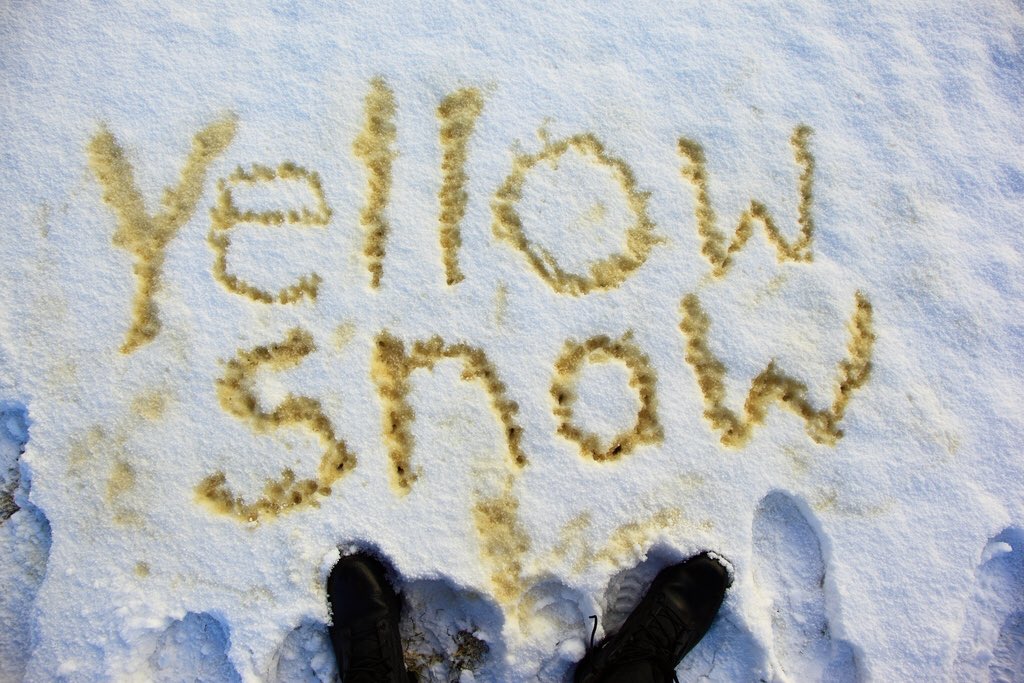 MiaPinchoff's tweet photo. eating yellow snow is good luck 🙌
#FakeWinterFacts https://t.co/4mD6hzQaFO