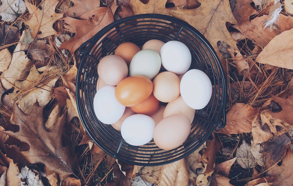 Exactly how much protein you should eat if you're trying to lose weight:
spr.ly/60148Kgg6