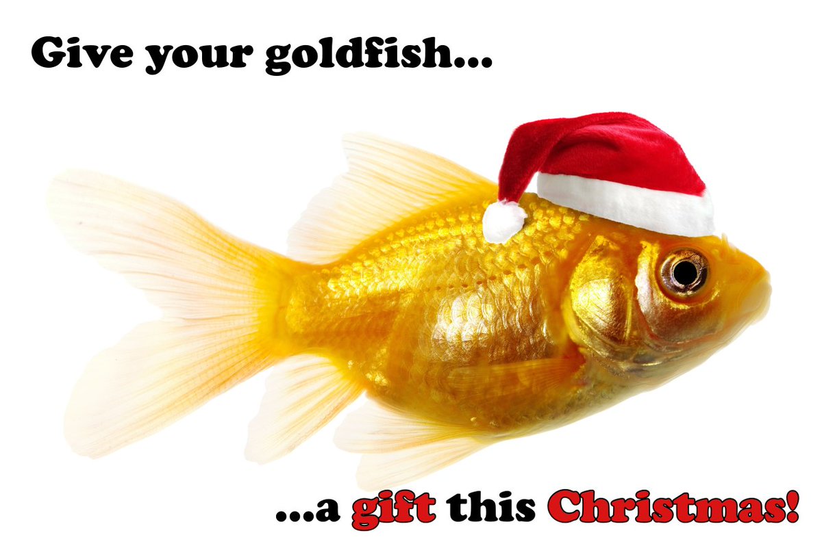 CompFishCare tweet picture