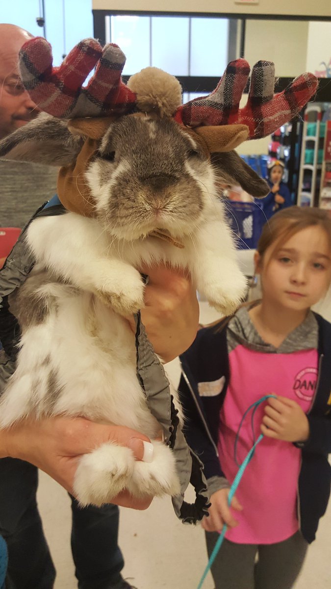 Petsmart1215 tweet media