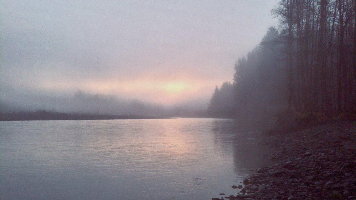 TKoutside's tweet photo. #Sunrise through the #Fog on the #QueetsRiver #RandomOldPictures #OlympicNationalPark #ParkChat https://t.co/G2egZ6MGhN