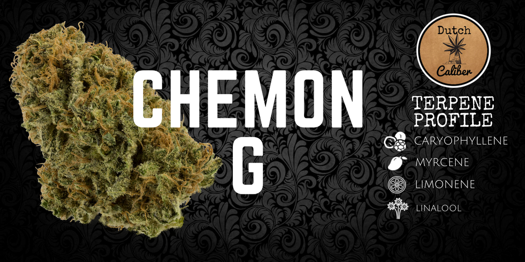 Dutch_Caliber's tweet photo. @Dutch_Caliber #ChemonG Lowers Stress Levels, Fights Inflammation, and Combats Depression. Get it in Kief Infused Pre-Rolls or Dry Caviar https://t.co/TLVDNzIjut