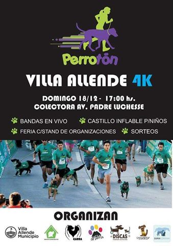 Perrotoncba's tweet photo. @lauloforte @flaviairos @coloretegianola @Rebebortoletto @latessio los queremos contando sus historias de perros en el evento!! Vienen? https://t.co/JVO9fIJIXP