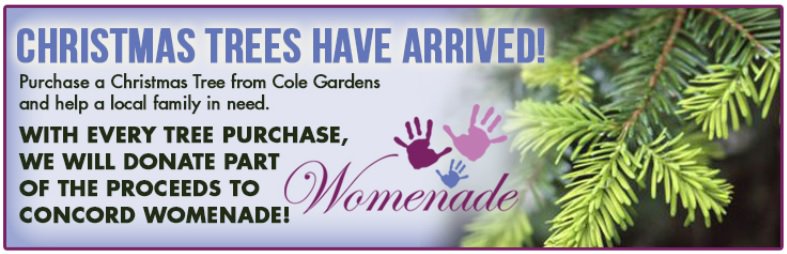 ColeGardens's tweet photo. Which day is better to purchase a #ChristmasTree? Day before the arrival of snow or while it is snowing? https://t.co/406CkRdOIW