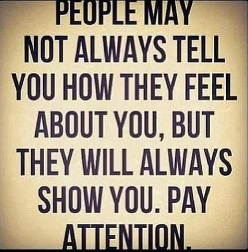 windsorzero's tweet image. 