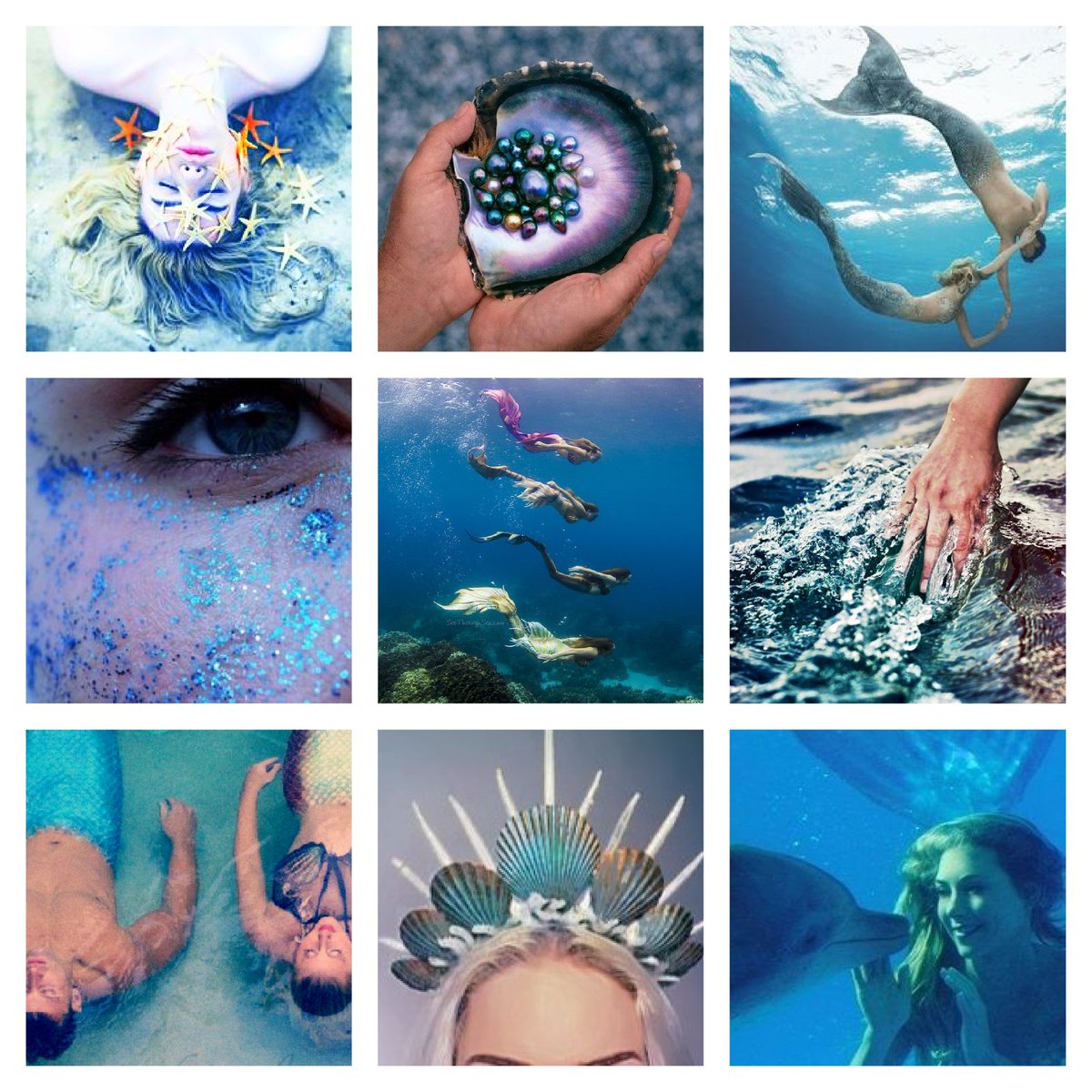 Traitor's Promo tweet media