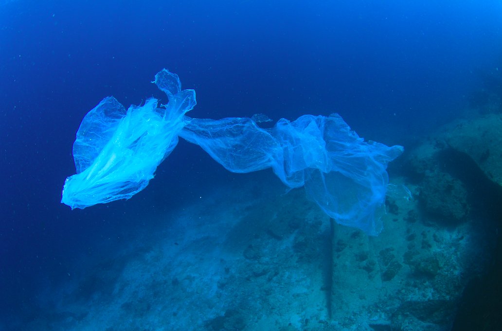 Surfrider's tweet image. Pave way for ban of single-use plastic bags in Palm Beach, FL ow.ly/qR863071aZE #plasticfree #RiseAbovePlastics