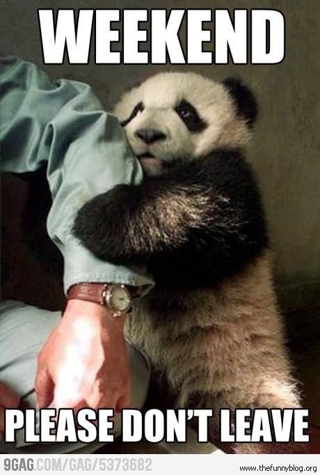 Don't let those #Sundayblues get you down! Pop to <a href="/ChandosSE23/">🆃🅷🅴 🅲🅷🅰🅽🅳🅾🆂</a> for a banging pub quiz! 7.30 start! <a href="/honoroakpark/">Honor Oak Park</a> @HonorOakWI @HonorOakBark