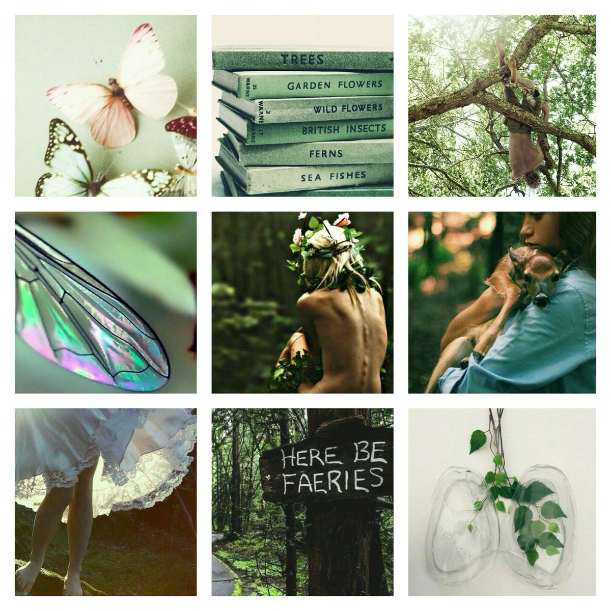 Traitor's Promo tweet media