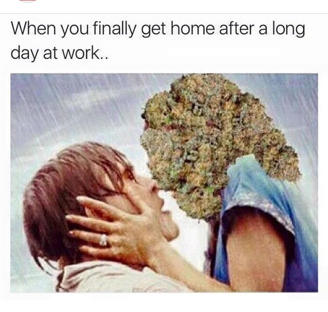 hellrell424's tweet image. It's love at first sight 😍😍😍