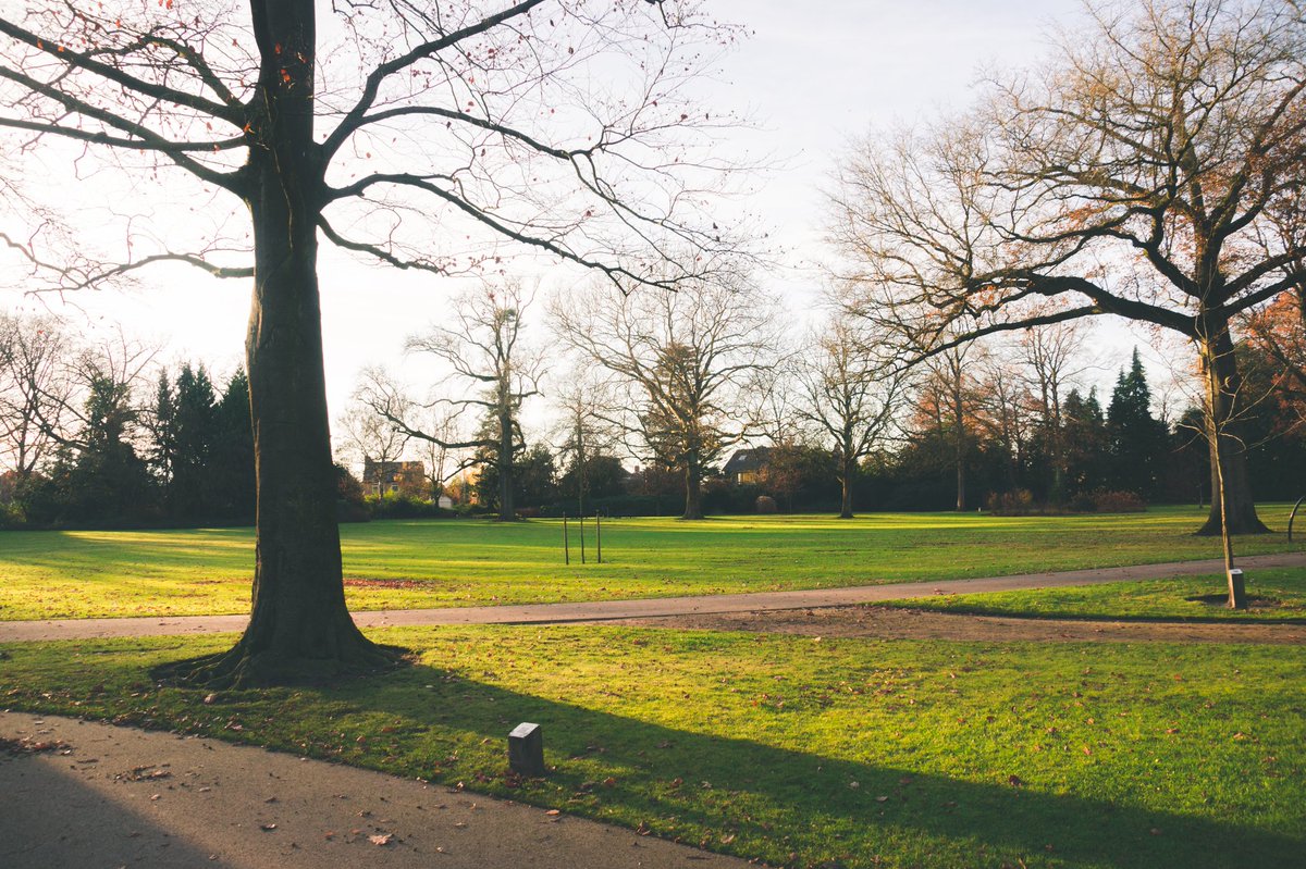 Nu nog rustig maar op 18 maart 2017 klinkt het startschot van deze nieuwe run. #LadiesParkRun