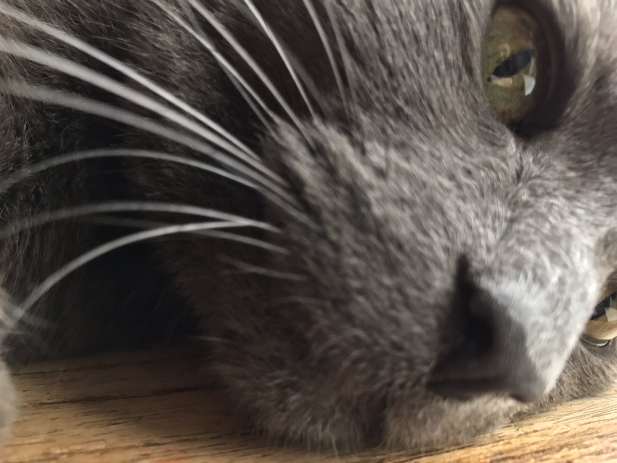 Weight4Life's tweet image. Mijn Lieverd