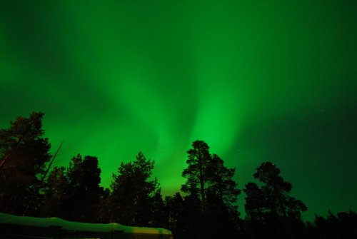 Frommer's tweet media