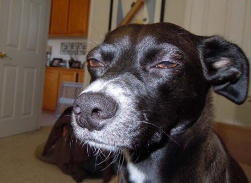 yes___daniel's tweet image. When someone passes your phone to you with the screen lit