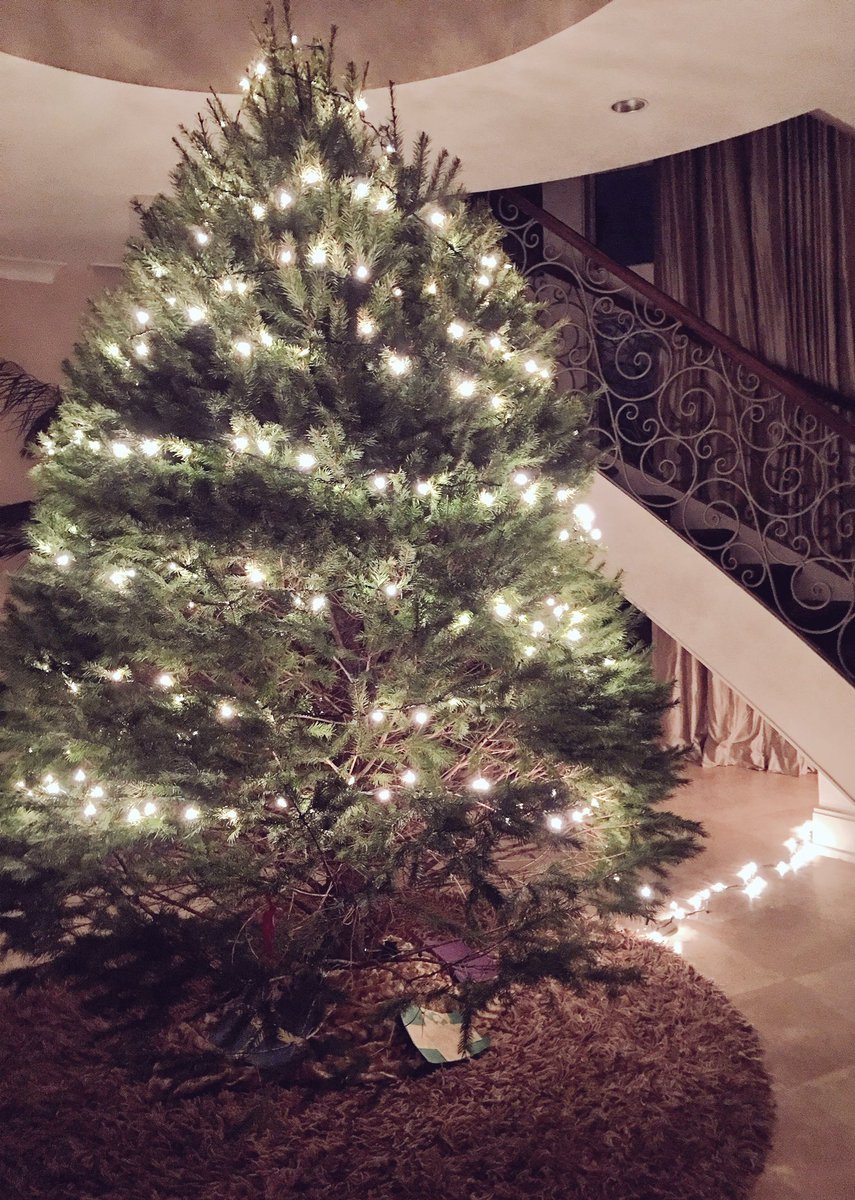 NicholeThomasVL's tweet image. Bare, with a little light to bring out its natural beauty! My favorite way to shine. #shinebright #ChristIsTheLight