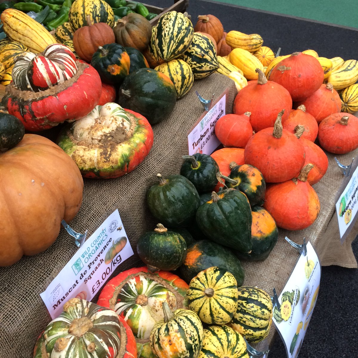 Just cos Halloween is a distant memory doesn't mean a certain veggie needs to be. Check out <a href="/WildOrganic/">organic wild herbs</a> &amp; their fab squash selection! #food