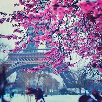 World's tweet photo. Winter in Paris, France. https://t.co/79nGScV4SE