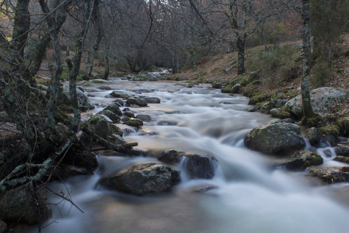 Miguel Bueno (@_miguelbueno) on Twitter photo Hoy con <a href="/eugeniaguinea/">maria eugenia Guinea</a> en la Cascada del Purgatorio (Rascafría). Mola, y mola mucho Hoy con <a href="/eugeniaguinea/">maria eugenia Guinea</a> en la Cascada del Purgatorio (Rascafría). Mola, y mola mucho