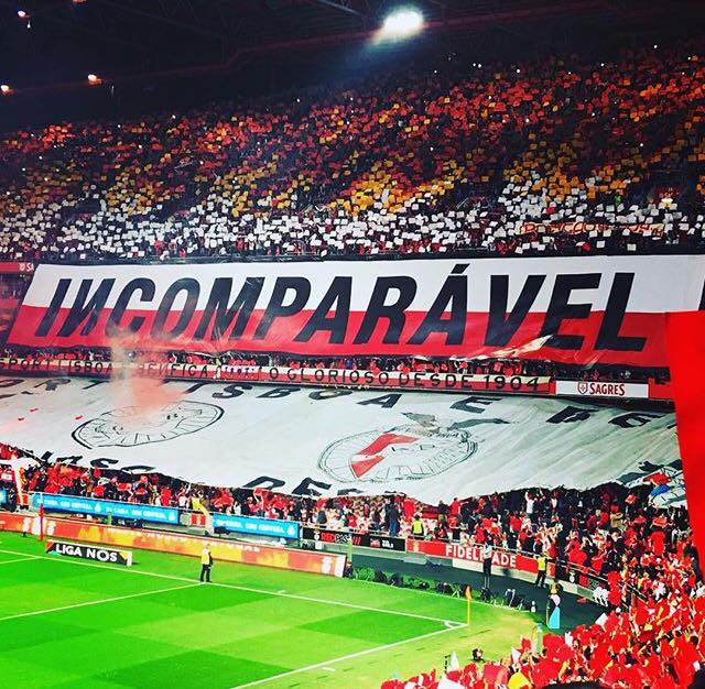 SLB_4ever's tweet photo. Os cães ladram, a caravana passa!
A vossa inveja é Centenária!!
BENFICA o Maior de Portugal💪

#CarregaBenfica #Juntos #SejaOndeFor #RumoAo36 https://t.co/hZvwV4U58t