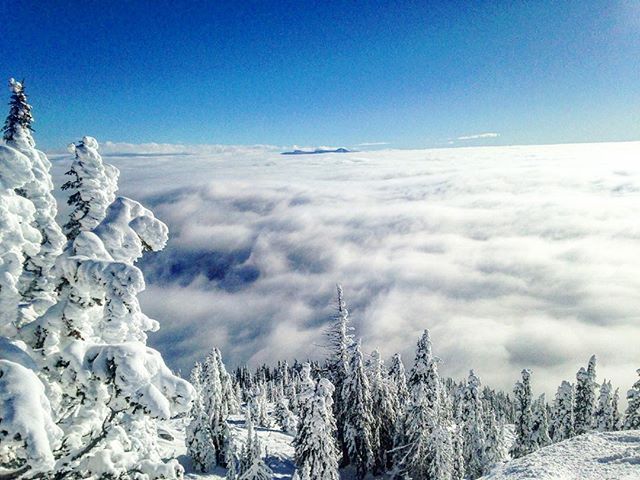 redresort's tweet photo. Could you ask for anything better for opening day? Blue skies and blower pow. #REDresort #REDopeningday #OwnTheMountain 📷: @pocorvb https://t.co/jli5z0KB4P