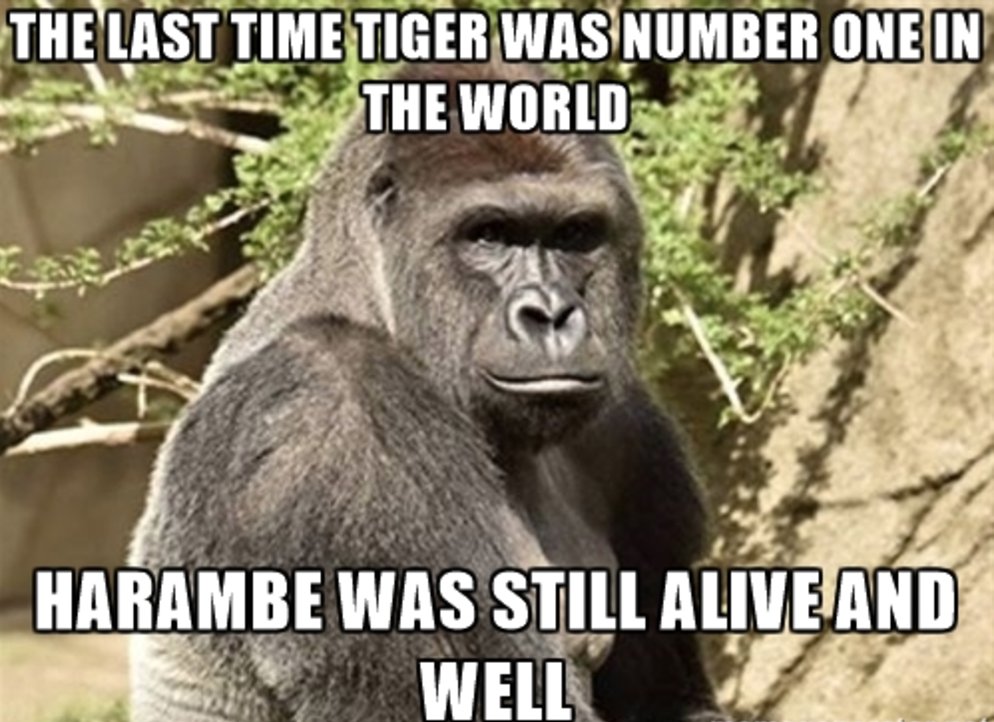 Recognize greatness. #RIPHarambe #GOAT #GolferSwag