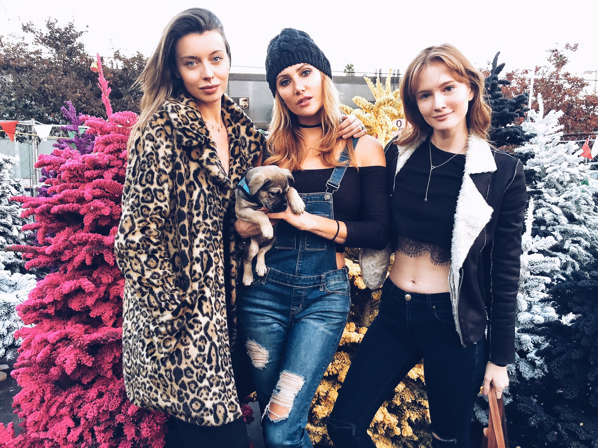 A lil Christmas tree shopping with my loves @roxannajune @msdominiquejane https://t.co/zxwWtN0gQP