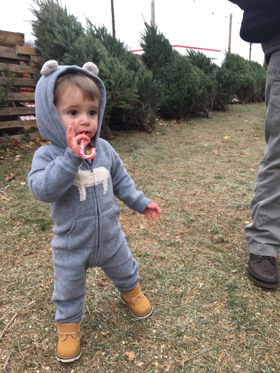 MaryFranMac's tweet photo. Straight up Hustling for the perfect Christmas tree https://t.co/bgLq9euPBI