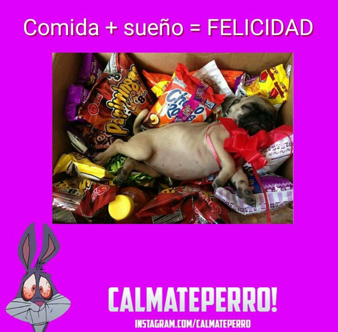 ElToroVino's tweet photo. https://t.co/f4hsam7HrI