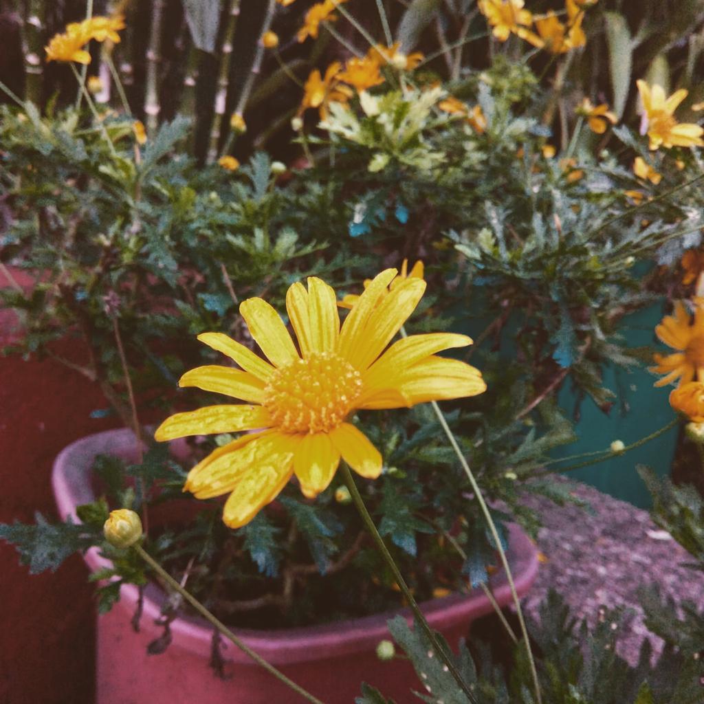 Emenemssss's tweet photo. 🌼🌻🌺 #BellChurch https://t.co/qaIIoI41HJ
