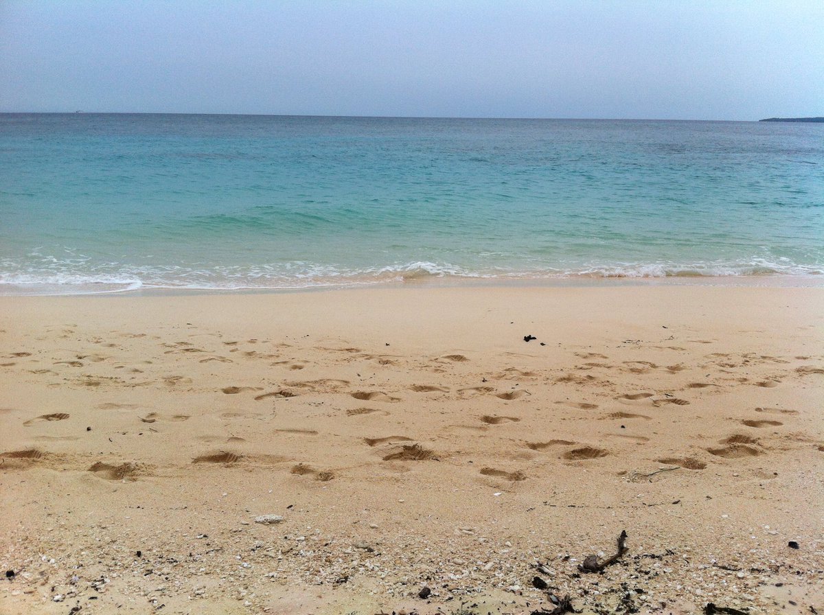 tinygianne's tweet image. Miss the Philippines