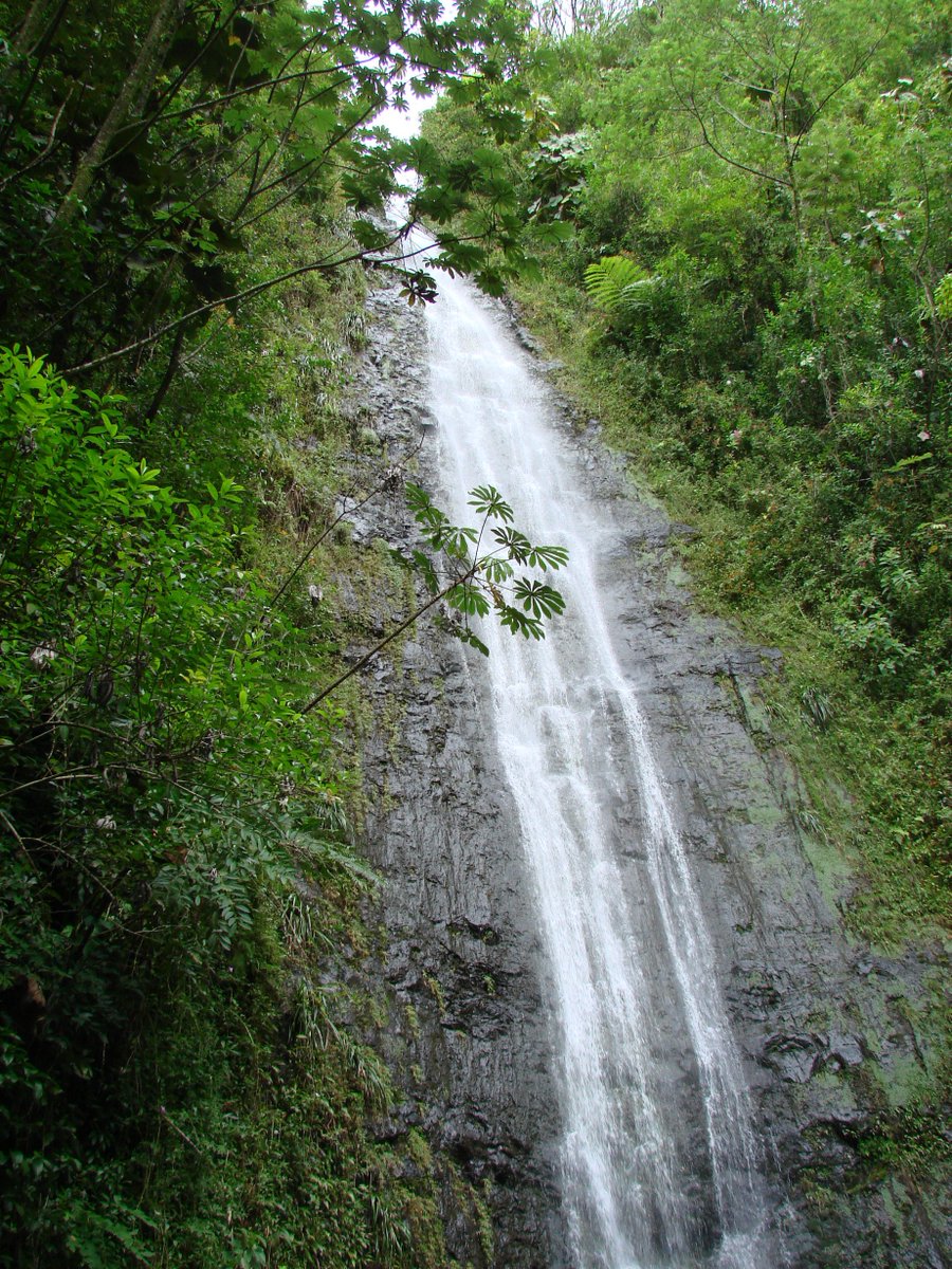 EnvironmentHI's tweet image. Check Out this Week's Events on the Hawaii Environmental Calendar hawaiienvironmentalcalendar.org @thinktechhi @sierraclubhi #Hawaii #Honolulu #Oahu