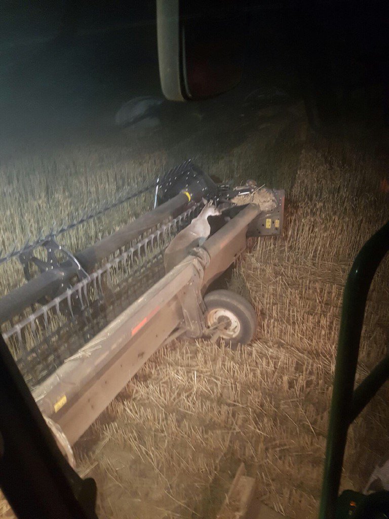 Lucky escape for this bloke! #nearly"roo"ted